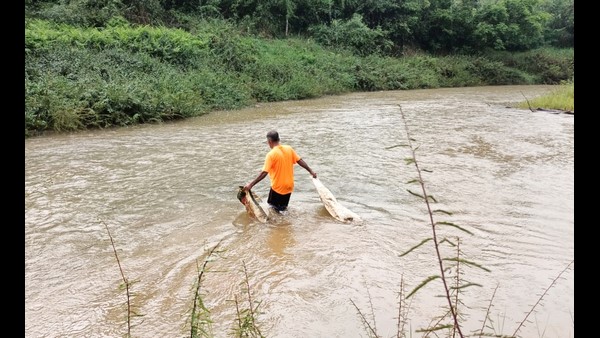  ಅಭಿನಂದನೆಗಳ ಮಹಾಪೂರ