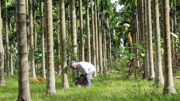 ನರೇಗಾದ ಮಾಹಿತಿ ನೀಡಿದ ಪಠಾಣ್ ನರೇಗಾದ ಮಾಹಿತಿ ನೀಡಿದ ಪಠಾಣ್