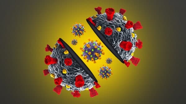 ರೂಪಾಂತರ ಸಹಜ ಪ್ರಕ್ರಿಯೆ