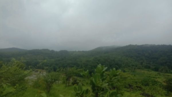 ಆನ್‍ಲೈನ್ ಕ್ಲಾಸ್‍, ವರ್ಕ್ ಫ್ರಂ ಹೋಂ