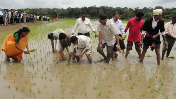 ಕಕ್ಕಡದಲ್ಲಿ ಸೇವಿಸಬೇಕೆಂಬ ಸಂಪ್ರದಾಯ