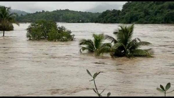  ಹಾನಿಗೊಳಗಾದ ಪ್ರದೇಶದ ವೀಕ್ಷಣೆ 