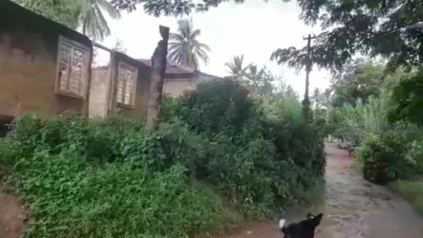 ನಗರಾಭಿವೃದ್ಧಿ ಇಲಾಖೆ 