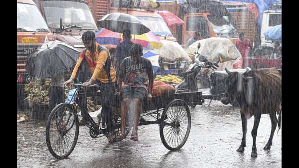 ದಕ್ಷಿಣ ಒಳನಾಡಿನಲ್ಲಿ ಶೇ 15ರಷ್ಟು ಹೆಚ್ಚು ಮಳೆ ದಾಖಲು ದಕ್ಷಿಣ ಒಳನಾಡಿನಲ್ಲಿ ಶೇ 15ರಷ್ಟು ಹೆಚ್ಚು ಮಳೆ ದಾಖಲು