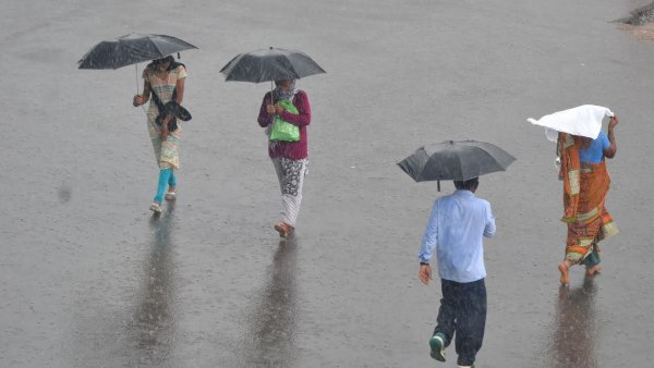 Kodagu Farmers Have Hope On July Rain For Agriculture Activities