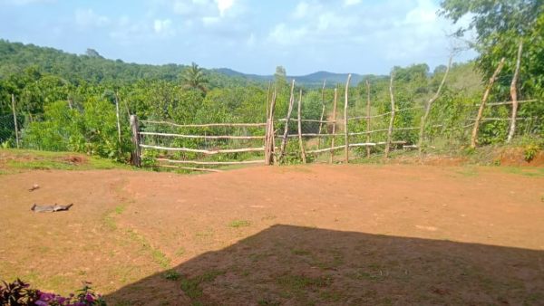 ಸಮಿತಿ ಅಸ್ತಿತ್ವಕ್ಕೆ, ಜನ ಬೆಂಬಲ ಹೆಚ್ಚಳ