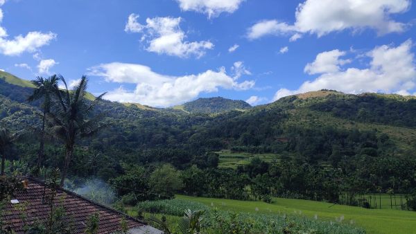 ಗುಡ್ಡ, ಬೆಟ್ಟ ಹತ್ತಿದರೂ ನೆಟ್‌ವರ್ಕ್‌ ಇಲ್ಲ