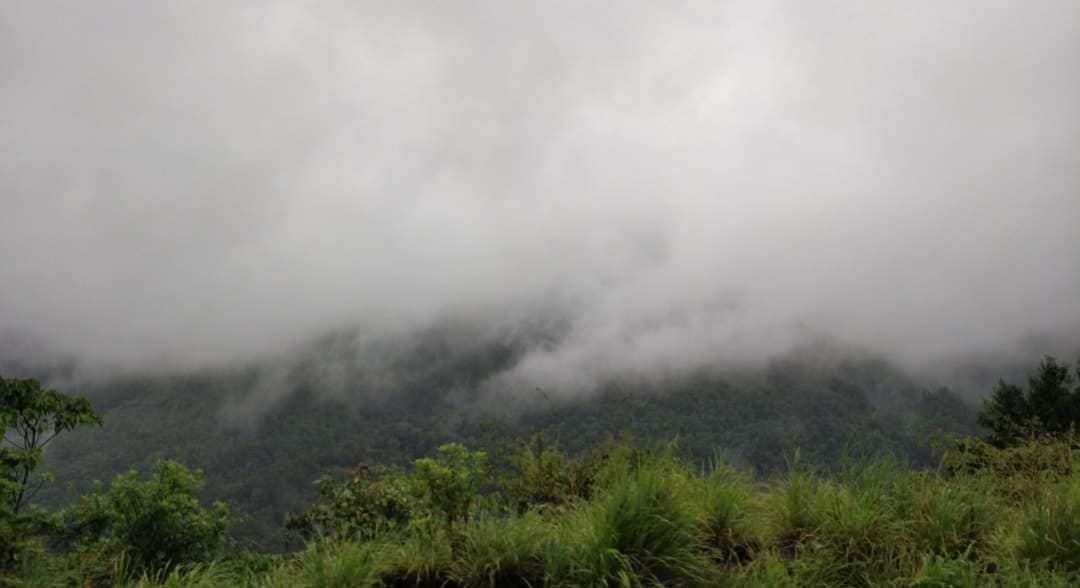 Mangaluru: Vista Dome Coaches Train Starts From July 7 Mangaluru: Vista Dome Coaches Train Starts From July 7