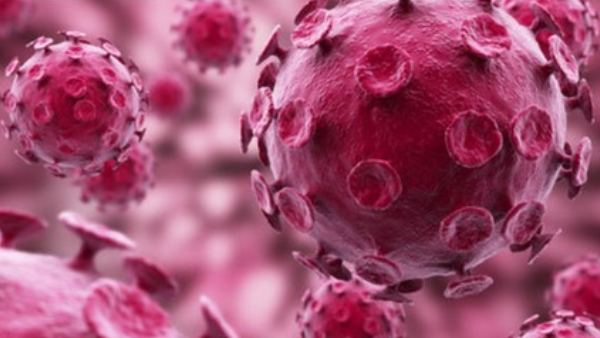  ಝಿಕಾ ಸೋಂಕಿನ ಲಕ್ಷಣಗಳೇನು?