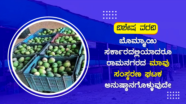  ಸೀಸನ್‍ನಲ್ಲಿ ಸರಾಸರಿ 400 ಟನ್ ಮಾವು ಉತ್ಪಾದನೆ