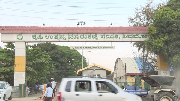  ಕಾರಣ 2- ಹೊಸ ಅಡಿಕೆ ಬಂದಿಲ್ಲ