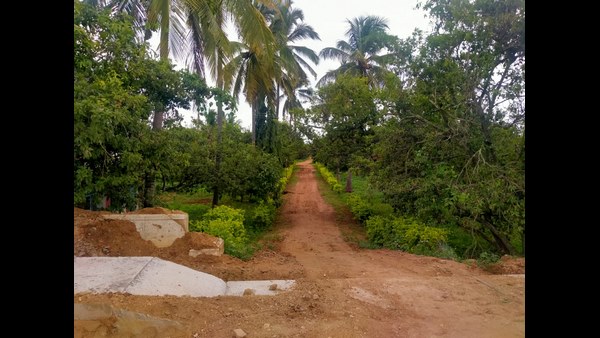  ತಲೆ ಎತ್ತಲಿದೆ ಅಂತರಾಷ್ಟ್ರೀಯ ಗುಣಮಟ್ಟದ ಸಂಸ್ಕರಣ ಘಟಕ 