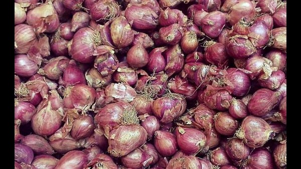 ಈರುಳ್ಳಿ ಬೆಳೆದರೆ ಮೂರು ತಿಂಗಳ ಬೆಳೆ