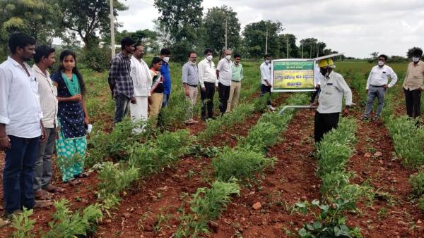 Monsoon Crops Agriculture Department Suggestion To Farmers