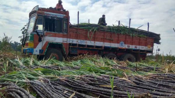 Farmer Leader Kurubur Shanthakumar Urged To CM Bommai On Solving Sugarcane Growers Problems