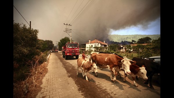 ತುರ್ತಾಗಿ ಕ್ರಮ ಕೈಗೊಳ್ಳಬೇಕಿದೆ..!