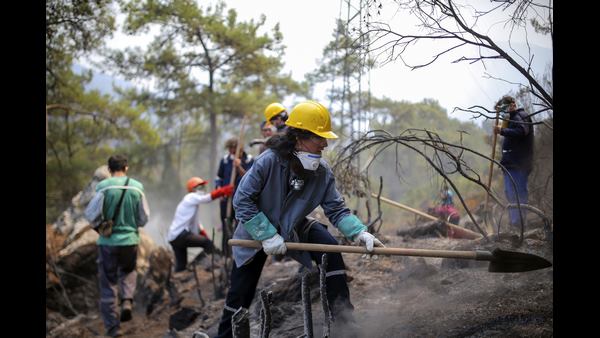ಕ್ಲೈಮೆಟ್ ಚೇಂಜ್ ಎಫೆಕ್ಟ್ 