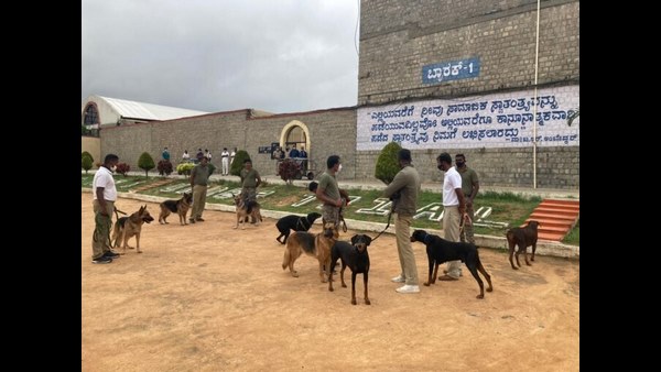 ಇಷ್ಟ ಬಂದ ಕೆಲಸ ಮಾಡಲು ಅವಕಾಶ 