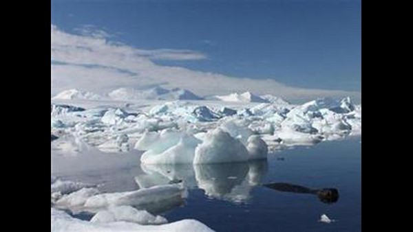  ಪ್ರಕೃತಿಗೆ ಏನು ಮಾಡಬಹುದು?