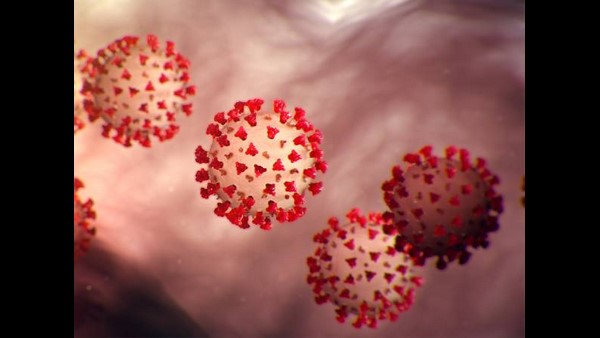  Covid Antibodies Wane Over Time Immune System Has Backup Says Study