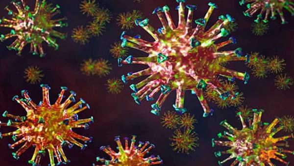  ಜನಸಂಖ್ಯೆಯಲ್ಲಿ ಪ್ರತಿಕಾಯ ಕ್ಷೀಣಿಸುವ ಅವಧಿ