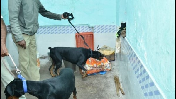 ಜೈಲಿನ ಅಕ್ರಮದ ಬಗ್ಗೆ ಹೈಕೋರ್ಟ್ ಕಿಡಿ 