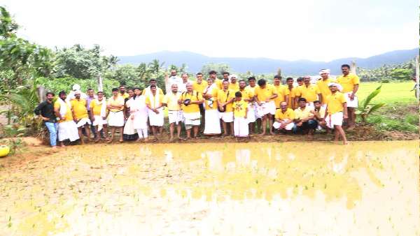 Uttara Kannada District Collector Planted Paddy To Create Awareness About Agriculture
