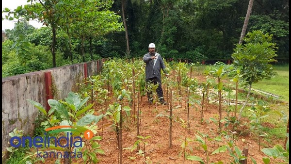  1000 ಚದರಡಿಯ ಜಾಗದಲ್ಲಿ 400ಕ್ಕೂ ಹೆಚ್ಚು ಗಿಡ