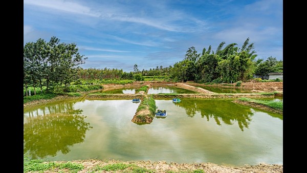 ಪರಿಸರಸ್ನೇಹಿಯಾಗಿ ಪುನರುಜ್ಜೀವನಗೊಳಿಸಲಾಗುತ್ತಿದೆ ಪರಿಸರಸ್ನೇಹಿಯಾಗಿ ಪುನರುಜ್ಜೀವನಗೊಳಿಸಲಾಗುತ್ತಿದೆ