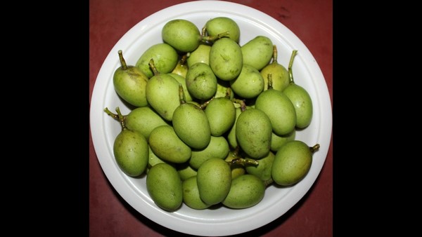  ಏನಿದು ಅಪ್ಪೆಮಿಡಿ? 