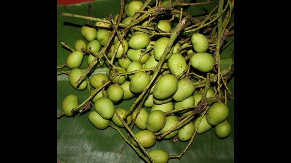  ಭೌಗೋಳಿಕ ಗುರುತಿಸುವಿಕೆ ಪಡೆದ ಉತ್ಪನ್ನಕ್ಕೆ ಆದ್ಯತೆ