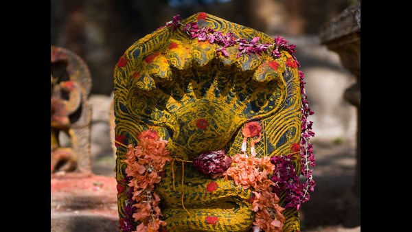  ನಾಗರ ಪಂಚಮಿಯ ಆಚರಣೆಯ ಹಿಂದಿನ ಕಾರಣ