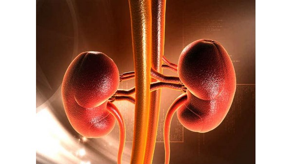 ಯುಟಿಐಗೆ ಮುಂಚಿತವಾಗಿ ಚಿಕಿತ್ಸೆ ನೀಡುವುದು ಏಕೆ ಮುಖ್ಯ ?