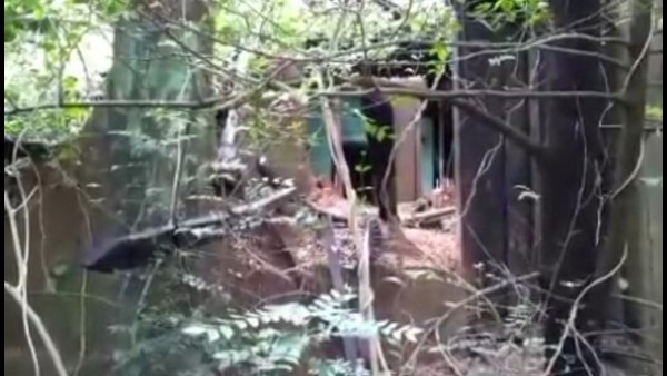  ಪಾಳುಬಿದ್ದಿರುವ ಮನೆಯ ಅಟ್ಟದಲ್ಲಿ ಆಲ್ಫರ್ಡ್ ಡಿಸೋಜರು ದಿನಗಳನ್ನು ಕಳೆಯುತ್ತಿದ್ದರು