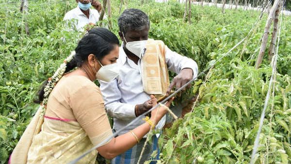 ಕನ್ನಡದಲ್ಲಿ ಬೆಳೆಗಳ ಮಾಹಿತಿಗೆ ಆಗ್ರಹ 