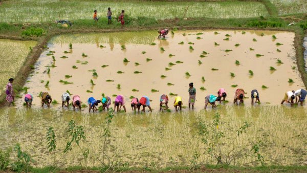 ಒಂದೇ ಒಂದು ಕೈಗಾರಿಕೆ ಮುಚ್ಚಲು ಬಿಡುವುದಿಲ್ಲ