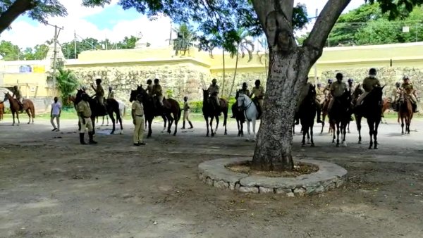  ನಾಳೆ ಅಭಿಮನ್ಯುಗೆ ಮರದ ಅಂಬಾರಿ