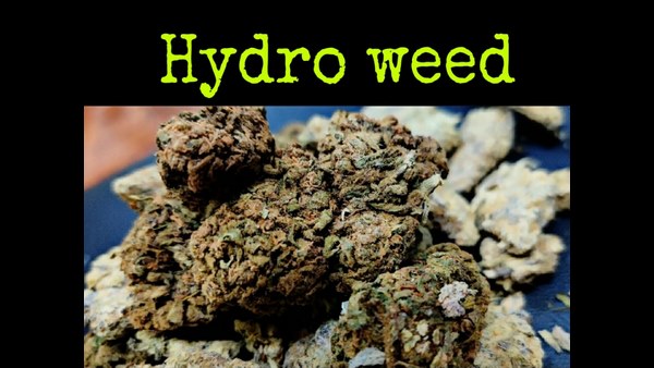 ಸಿಸಿಬಿ ಪೊಲೀಸರಿಂದ ತಪ್ಪಿಸಿಕೊಂಡಿದ್ದ ಥಾಮಸ್ ಕೇಸಿಗೆ ಟ್ವಿಸ್ಟ್, 