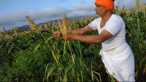  ಈ ಗಲಾಟೆ ಮಾಡು ಸಾಧನ ಶಬ್ದದ ವ್ಯಾಪ್ತಿ 