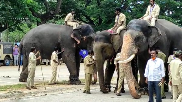  ಸಂಪ್ರದಾಯವನ್ನು ಗಾಳಿಗೆ ತೂರಿದ ಸರ್ಕಾರ