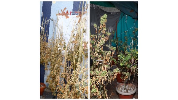 ಸರ್ಕಾರಕ್ಕೆ ಮನವಿ