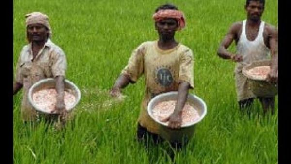 Karnataka State Department Of Agriculture Shares Tips On How To Check Fertilizer Quality