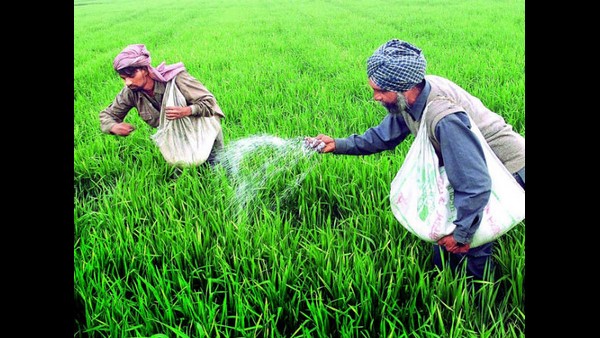 Karnataka State Department Of Agriculture Shares Tips On How To Check Fertilizer Quality