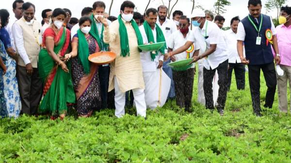 ಡ್ರೋನ್‍ನಿಂದ ಕೀಟನಾಶಕ ಸಿಂಪರಣೆ 