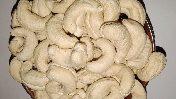 Puttur Cashew Research Centre Come Up With New Variety Of Plant 