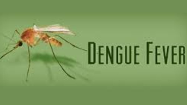  ಚಿಕನ್ ಗುನ್ಯಾ, ಡೆಂಘ್ಯೂ ಮುಂತಾದ ಕಾಯಿಲೆಗಳು ಇನ್ನು ಇದ್ದರೂ, ಅದರ ಪ್ರಭಾವ ಕಮ್ಮಿ
