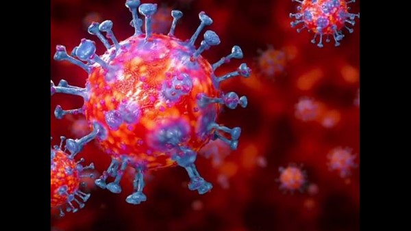 CRDIs Umifenovir Drug For Coronavirus Proves Successful In Clinical Trials CRDIs Umifenovir Drug For Coronavirus Proves Successful In Clinical Trials