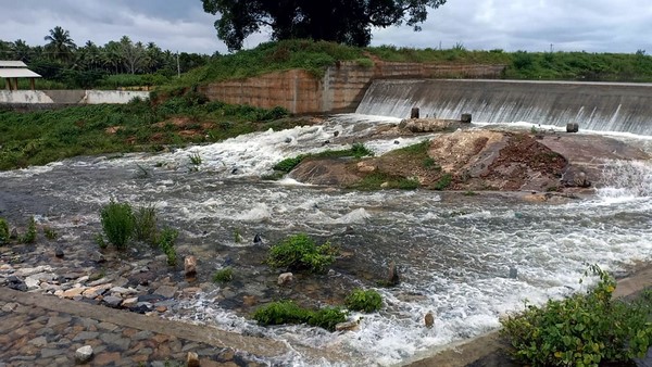  ದೇಶ- ವಿದೇಶಗಳ ಹಕ್ಕಿಗಳಿಗೆ ಆಸರೆ