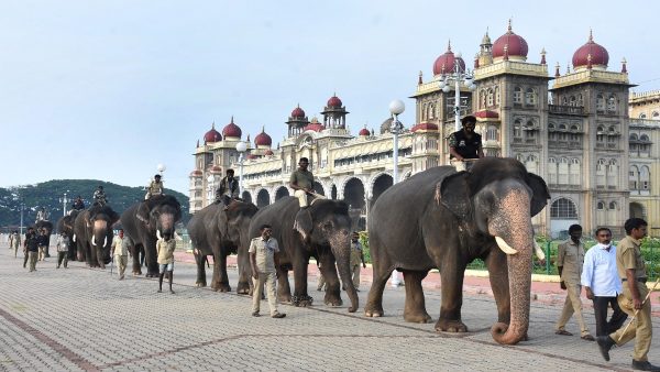 ಗಜಪಡೆಗೆ ರಾಜಾತಿಥ‍್ಯದ ಭೋಜನ