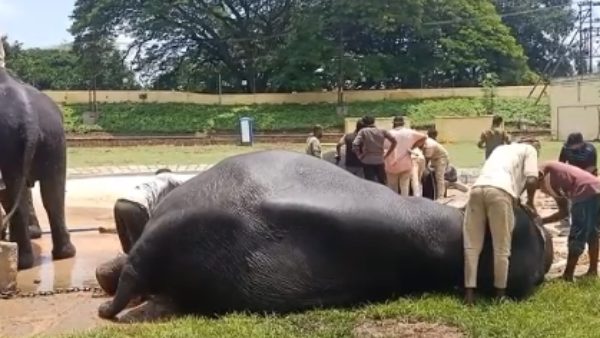 ಅರಮನೆಯಲ್ಲಿ ದಿನಚರಿ ಅರಮನೆಯಲ್ಲಿ ದಿನಚರಿ
